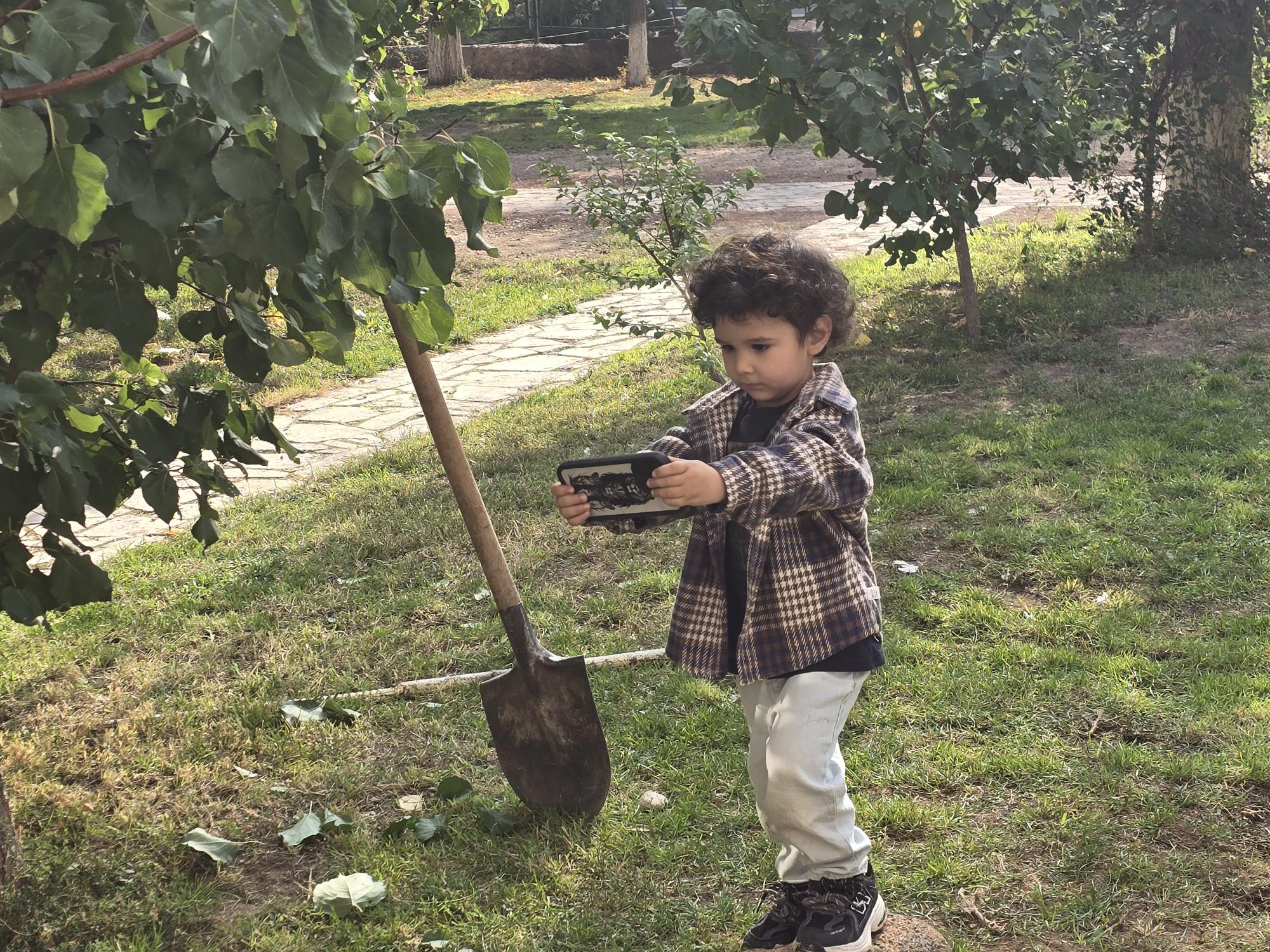 Բլեյան ցանցի նախագծեր